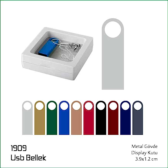 1909 USB Bellek
