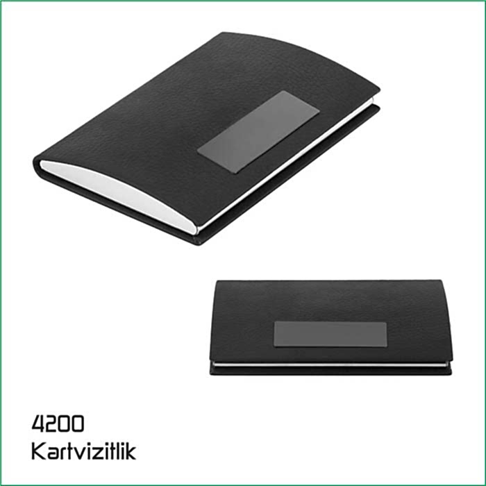 4200 Kartvizitlik