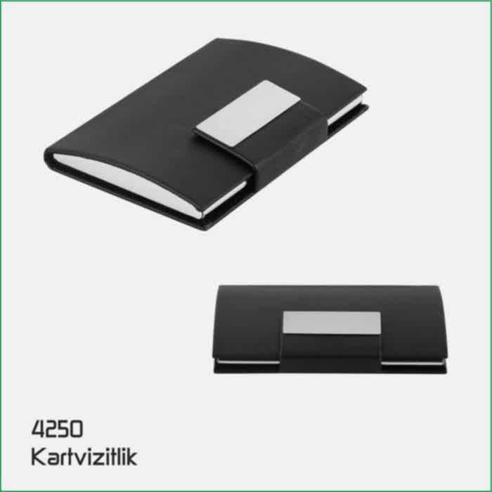 4250 Kartvizitlik