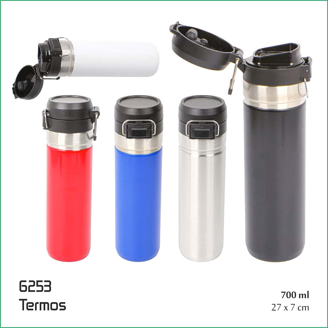 6253 Termos