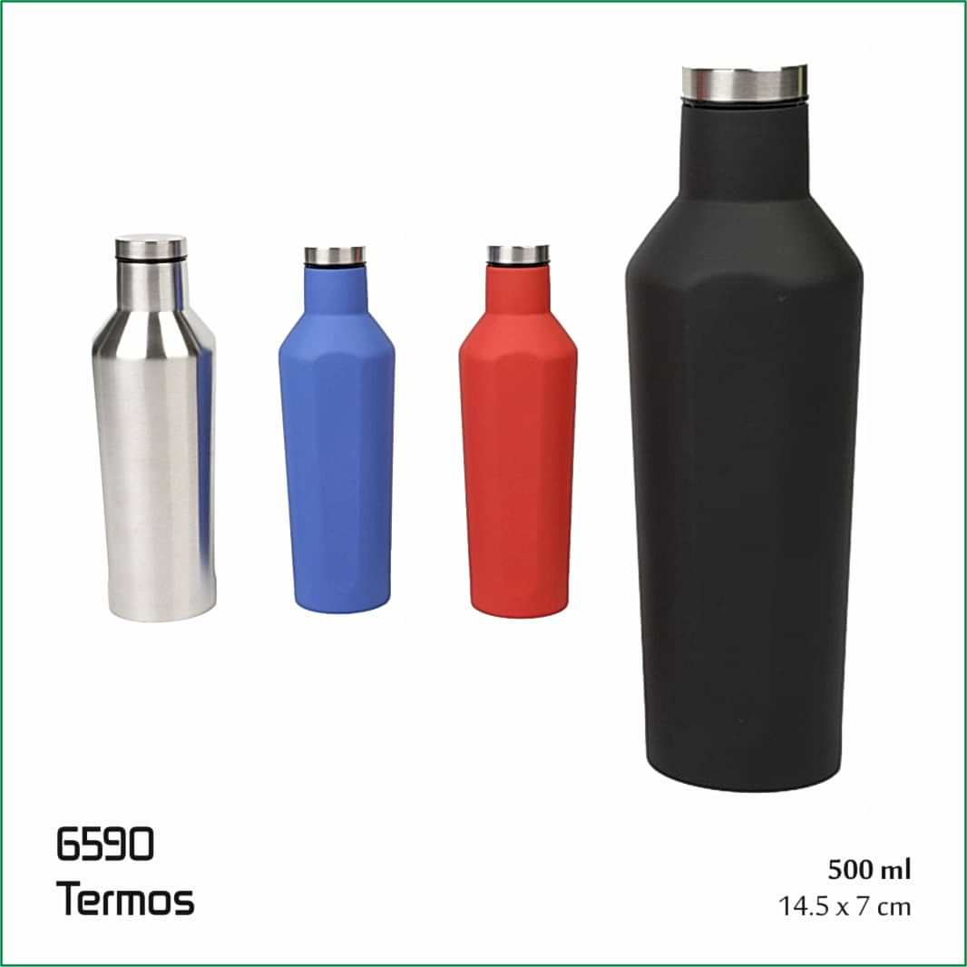 6590 Termos